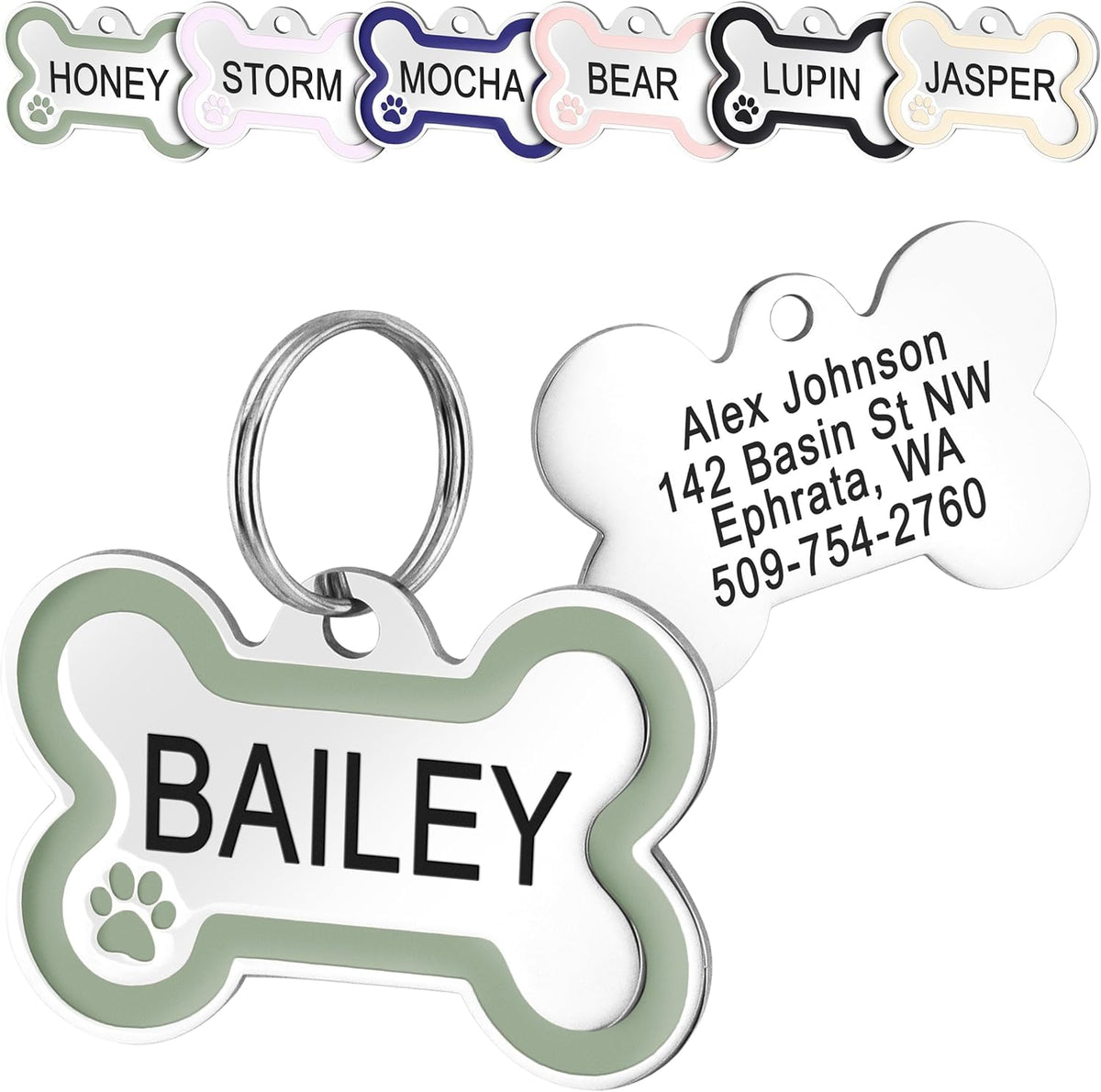 GoTags stainless steel bone dog tag front view showing green outline and engraved text