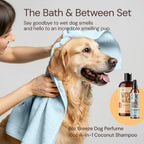 Sunny and Honey pet wash 16 ounce bottle with natural avocado oil for dog coat care
