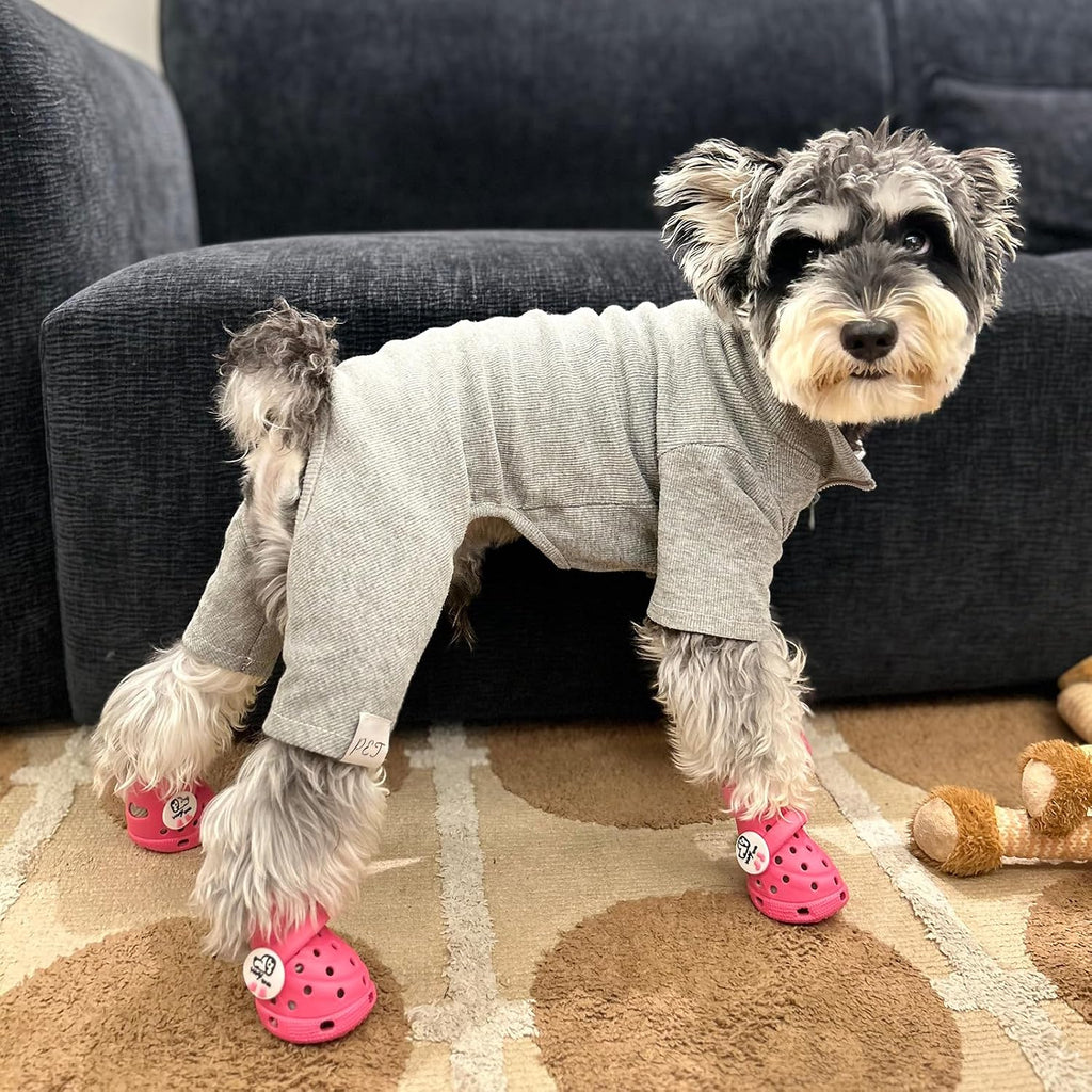 Wooftrak protective pet footwear set of four