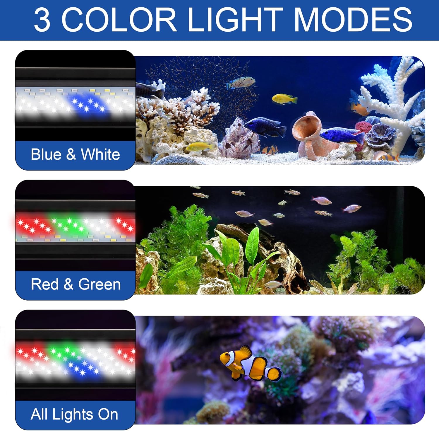 IRQWY 75 gallon fish tank light showing red green blue and white color modes.