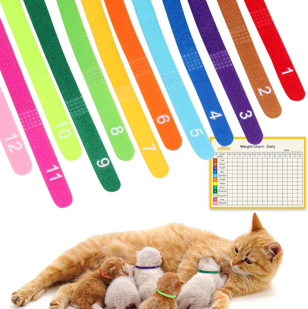 Rishav Pet Care newborn puppy collar set front view showing twelve colorful numbered bands.