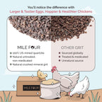 Educational diagram showing chicken digestive system with grit