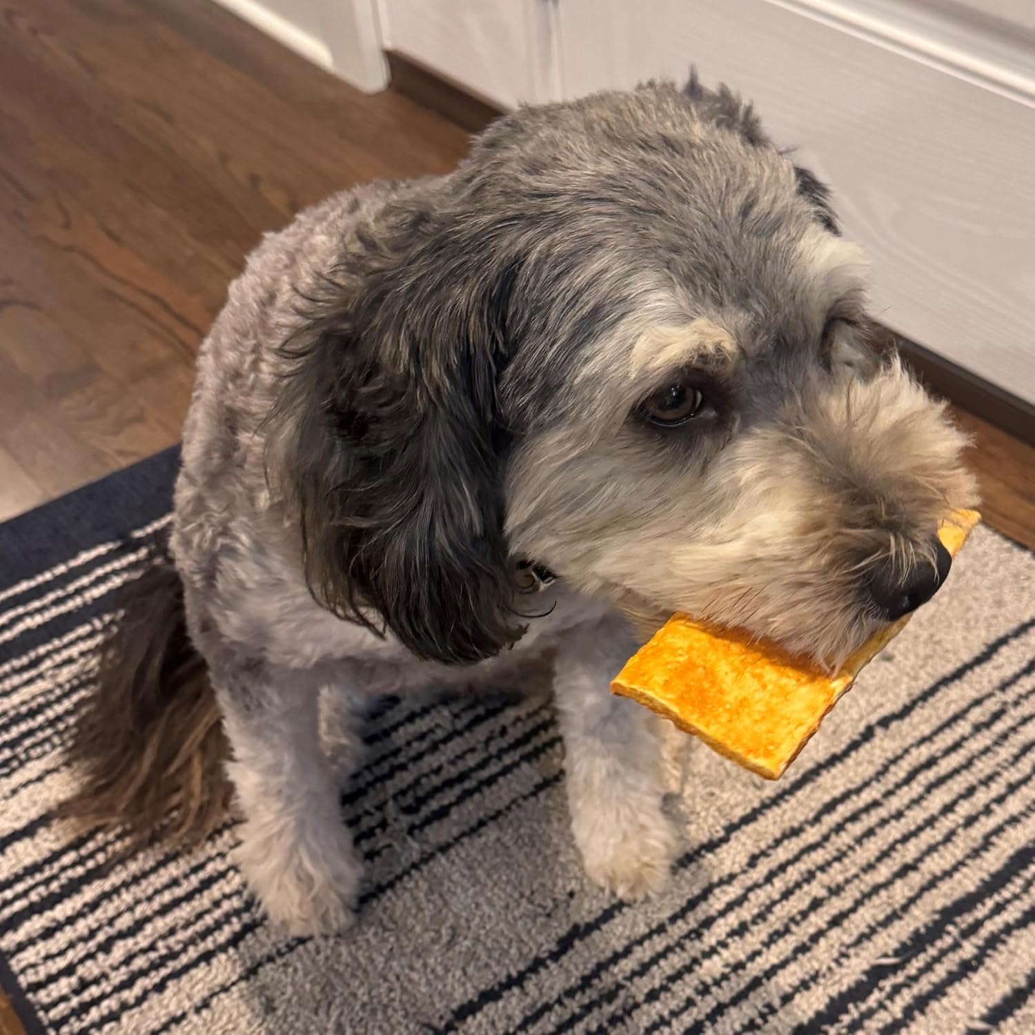 Fieldcrest Farms Nothin to Hide Flip Chips Dog Chews - Natural Rawhide Alternative Treats for Dogs, Collagen Based Snack for Moderate Chewers Up to 35lbs, Chicken Flavor - Image 10