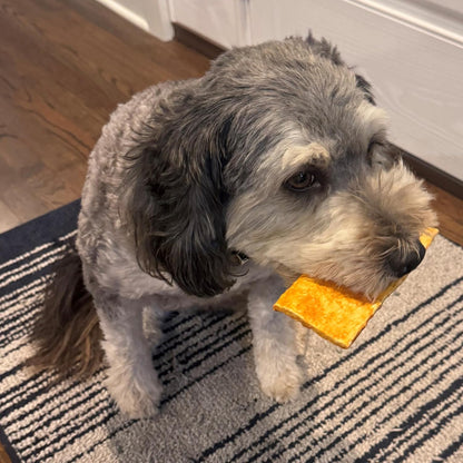 Fieldcrest Farms Nothin to Hide Flip Chips Dog Chews - Natural Rawhide Alternative Treats for Dogs, Collagen Based Snack for Moderate Chewers Up to 35lbs, Chicken Flavor - Image 10