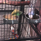 Four-pack stainless steel bird bowls with natural rattan toy balls