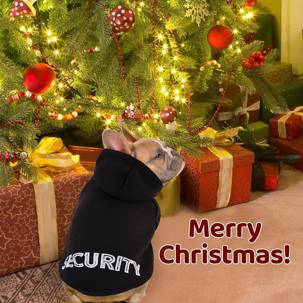 Side profile of a small breed dog wearing the cozy black hooded pet sweatshirt for winter.