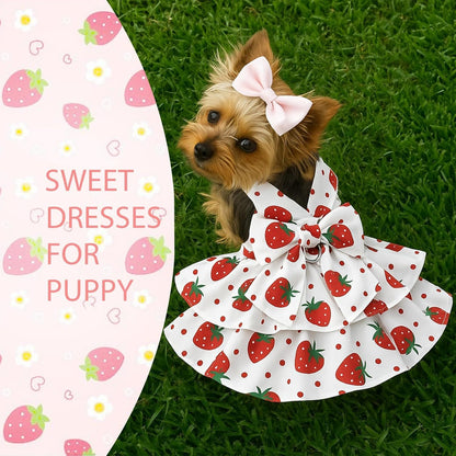 USA imported LAPOHI small dog princess outfit packaging