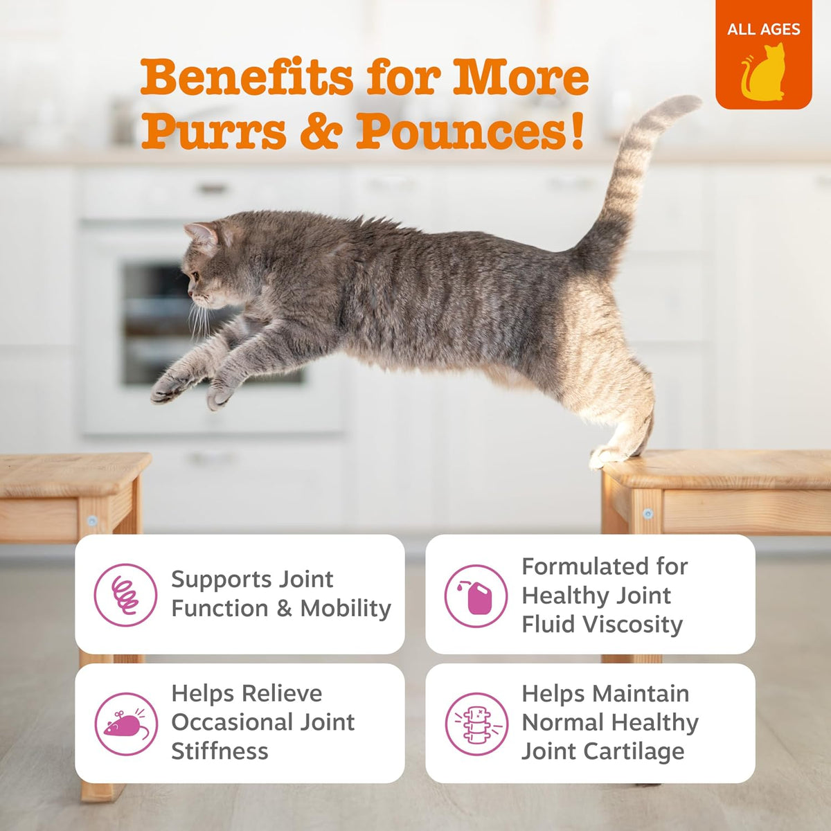 Zesty Paws cat joint supplement container with soft chews visible