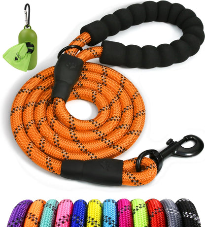 Taglory black reflective dog leash with all included accessories for medium and large dogs.