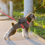 Complete XUVIRA dog walking set featuring the harness, removable pouch, and matching safety leash.
