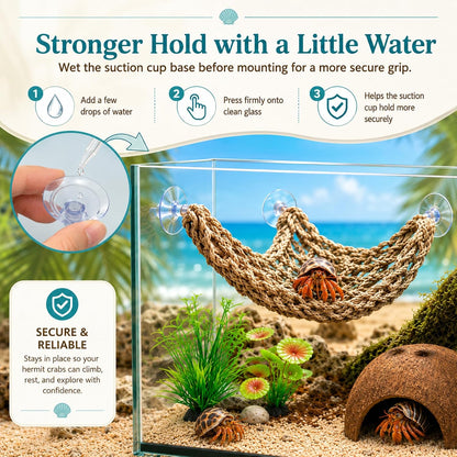 Hercocci hermit crab enrichment set components laid out