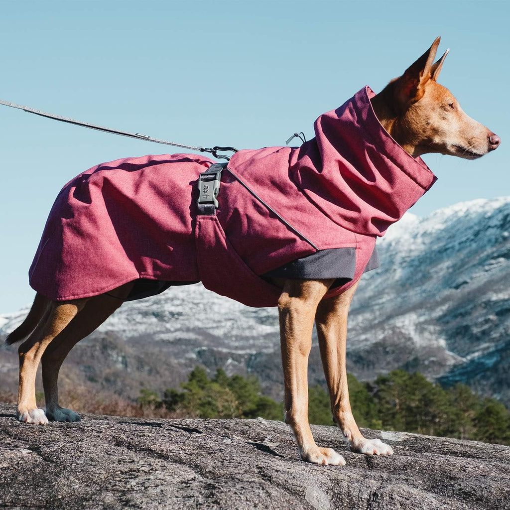 Side profile of Hurtta Expedition Parka winter dog coat