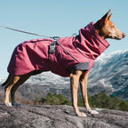 Side profile of Hurtta Expedition Parka winter dog coat