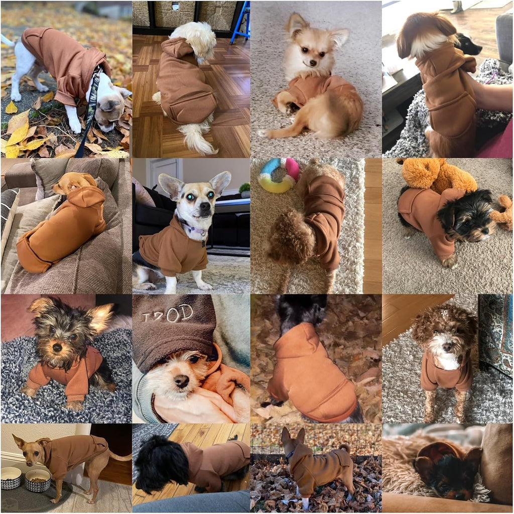 Warm winter puppy costume by Jecikelon for small dogs and cats