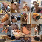 Warm winter puppy costume by Jecikelon for small dogs and cats