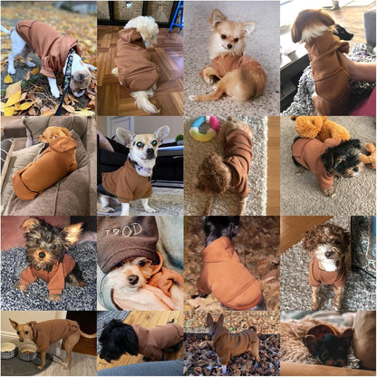 Warm winter puppy costume by Jecikelon for small dogs and cats