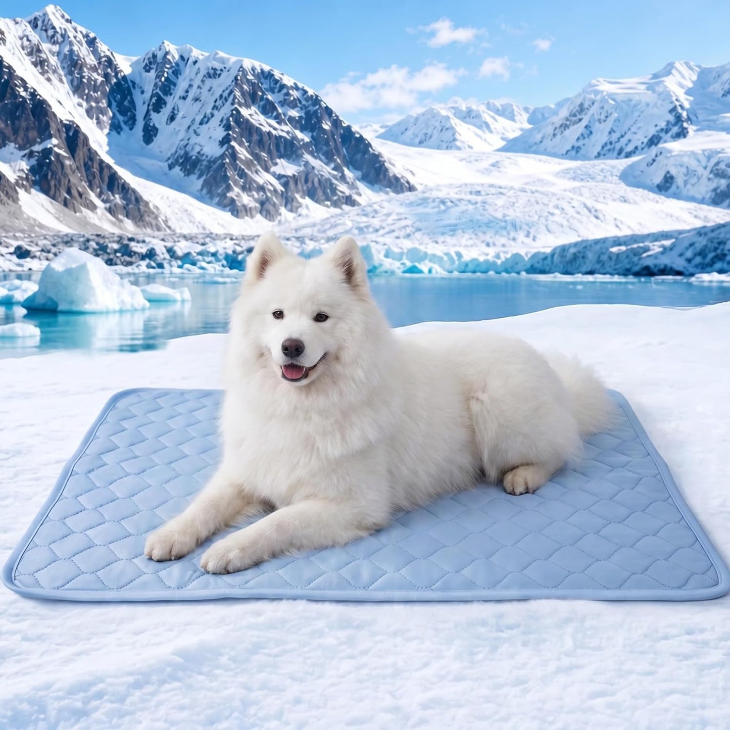 PatiencET Washable Pee Pads for Dogs, 18'' x 24" Reusable Puppy Pads with Super Absorbent for Pet Training, Housebreaking and Incontinence, 2 Pack Puppy Potty Pads with Waterproof Bottom - Image 12