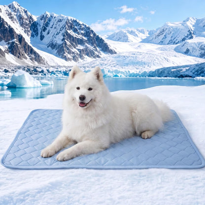 PatiencET Washable Pee Pads for Dogs, 18'' x 24" Reusable Puppy Pads with Super Absorbent for Pet Training, Housebreaking and Incontinence, 2 Pack Puppy Potty Pads with Waterproof Bottom - Image 12