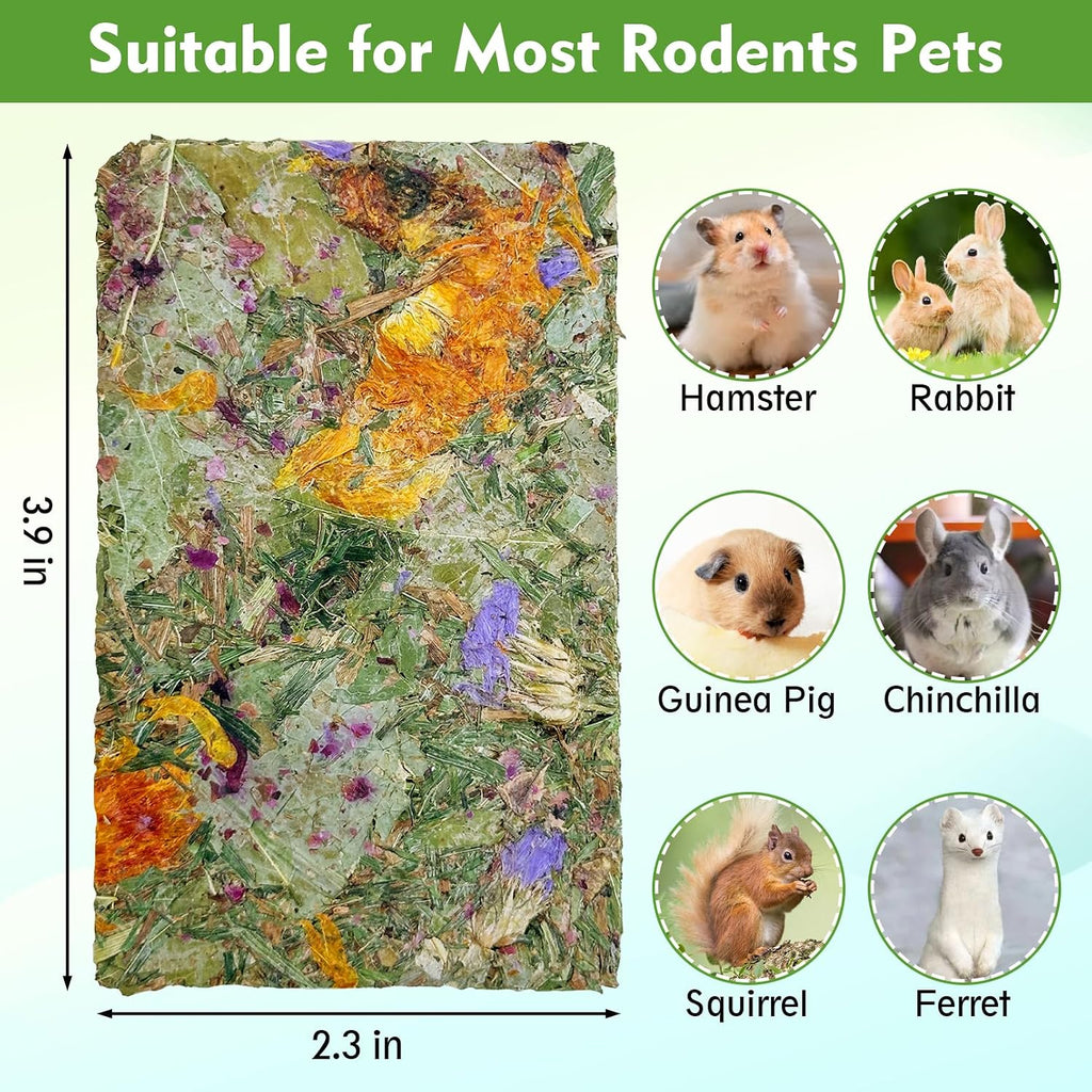 Fhiny twelve piece small animal molar treats being hand fed to a dwarf rabbit.