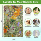 Fhiny twelve piece small animal molar treats being hand fed to a dwarf rabbit.