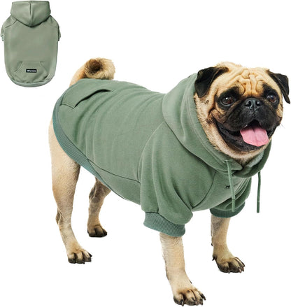 Tuff Pupper Dog Hoodie front view showing premium teal insulated fabric on a medium sized dog.