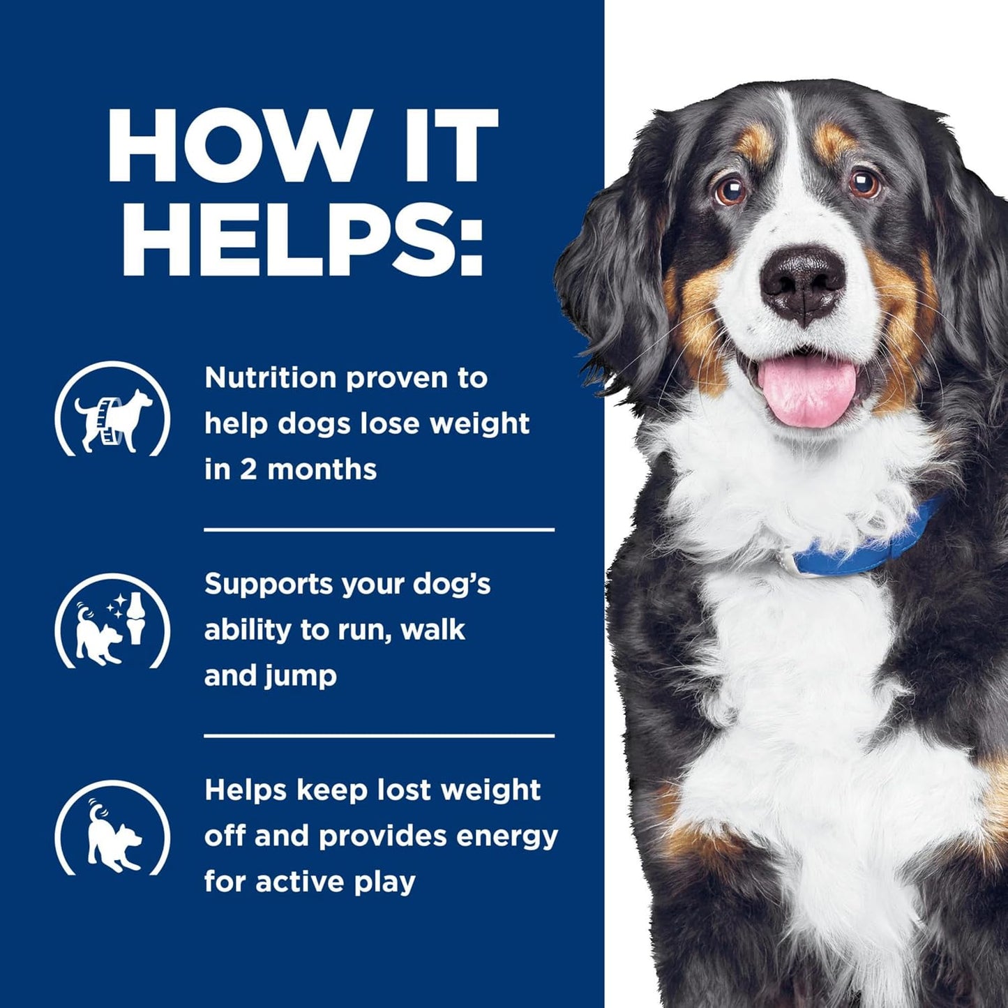 Clinical nutrition formula for adult dog weight and mobility care