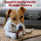 Close up of beef collagen stick texture for dental health