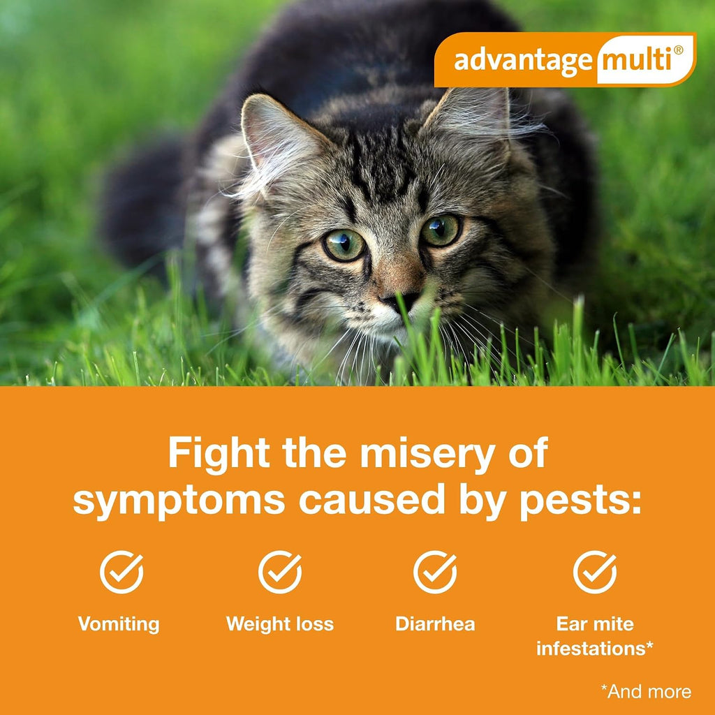 Topical applicator tubes for Advantage Multi cat treatment