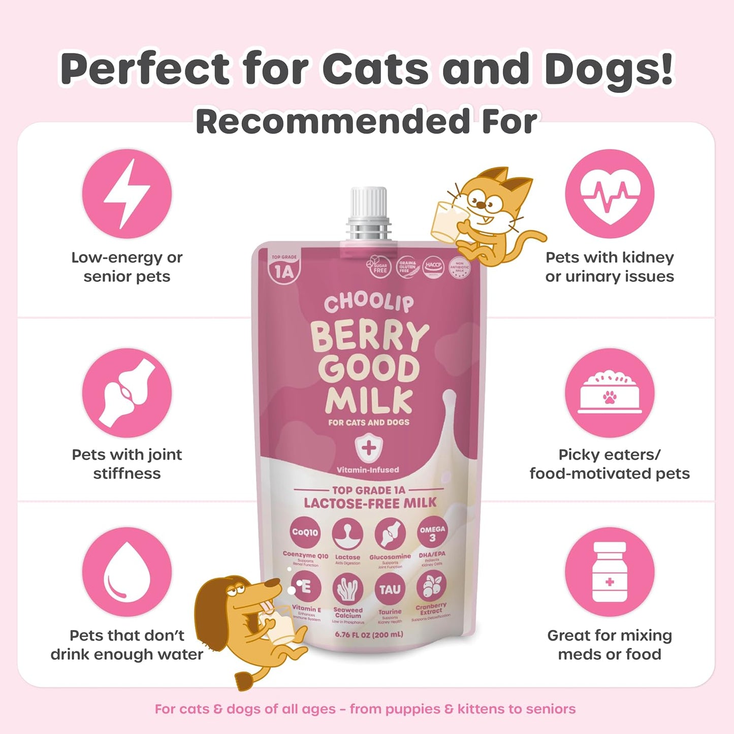 Healthy dog drinking Choolip Berry Good Milk served as a meal topper