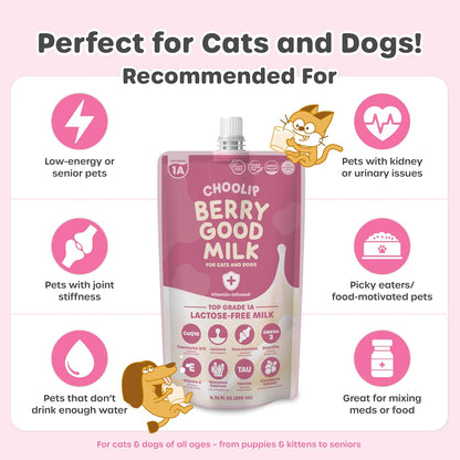 Healthy dog drinking Choolip Berry Good Milk served as a meal topper