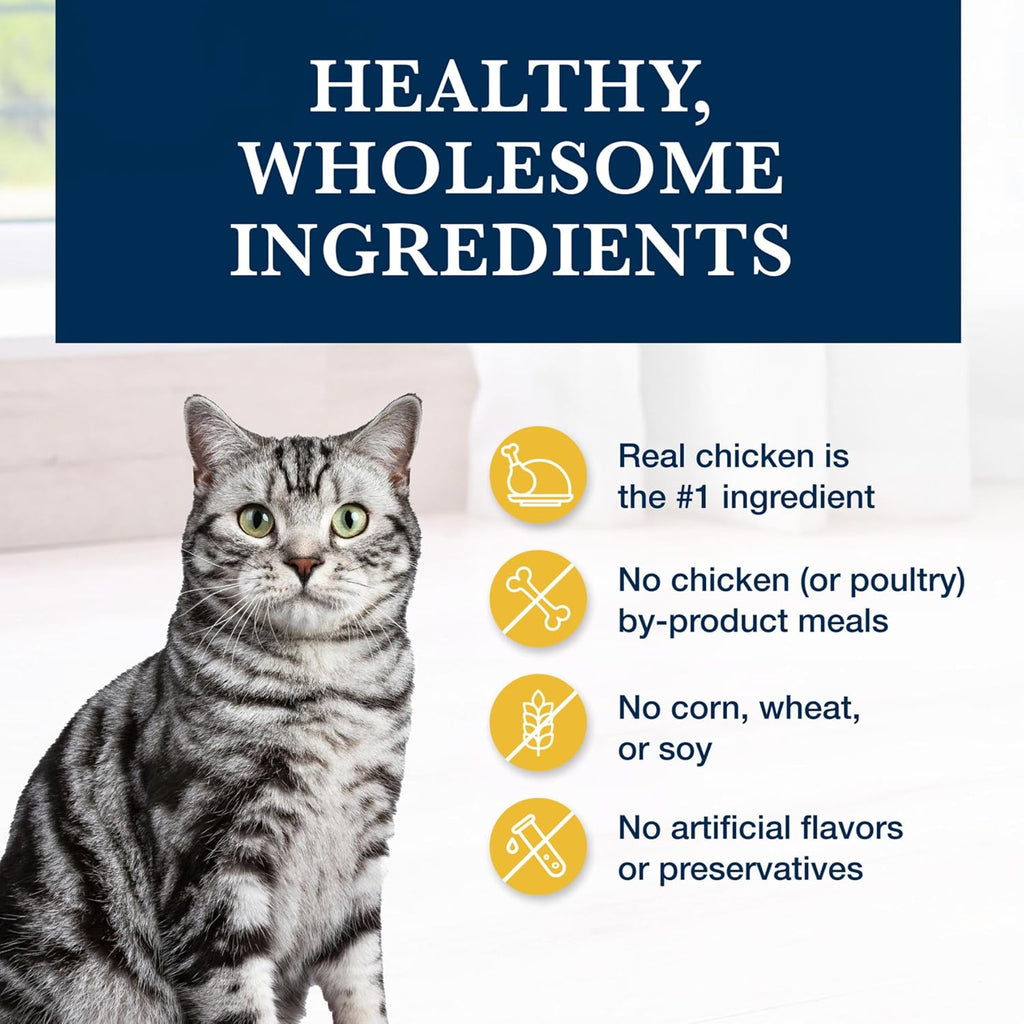 Blue Buffalo veterinary prescription cat food bag in natural lighting