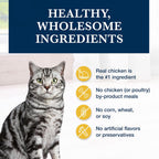 Blue Buffalo veterinary prescription cat food bag in natural lighting