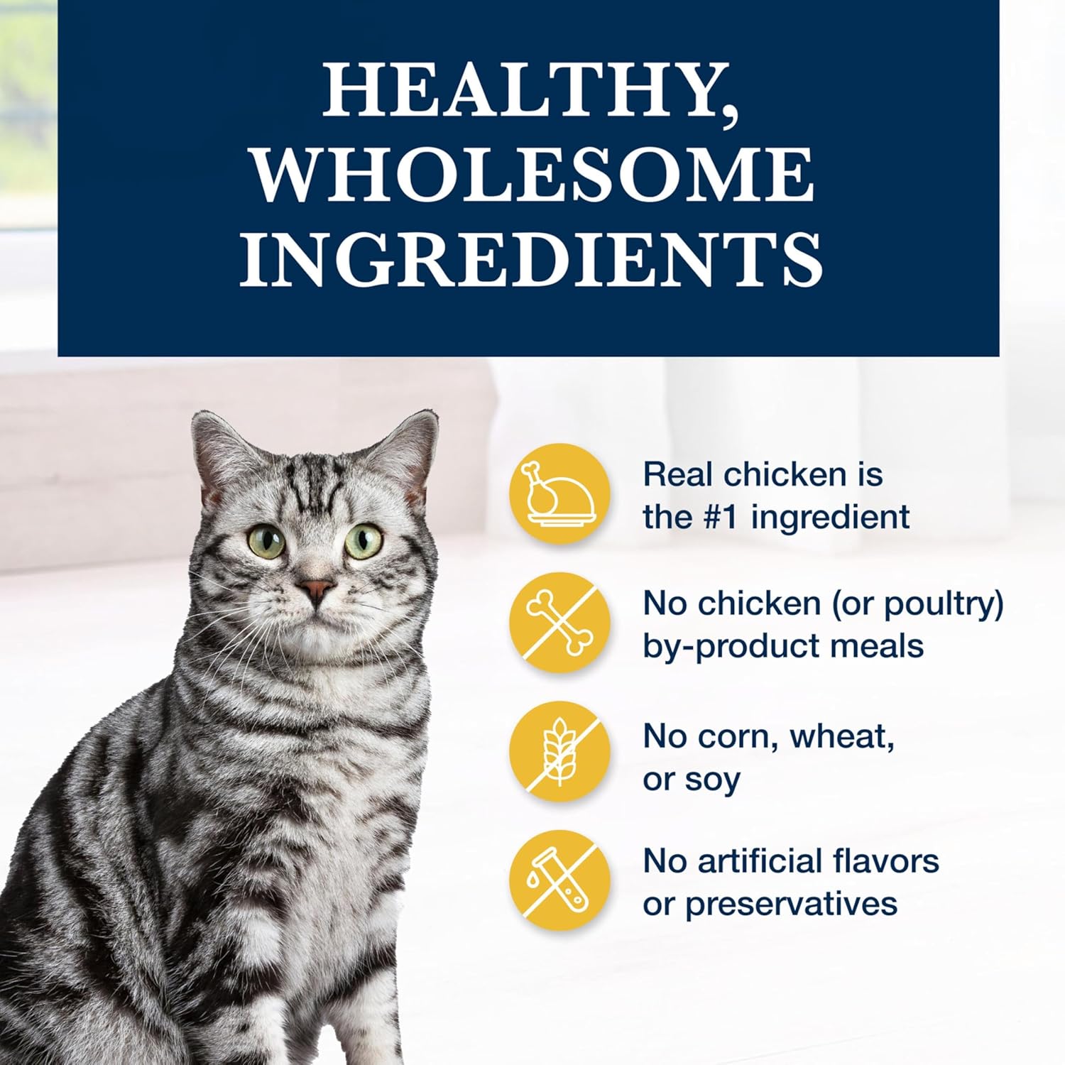 Side view of Blue Buffalo 7 pound kidney support dry cat food bag with detailed feeding guidelines.