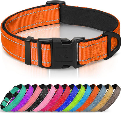 Teal Joytale dog collar on a dog model