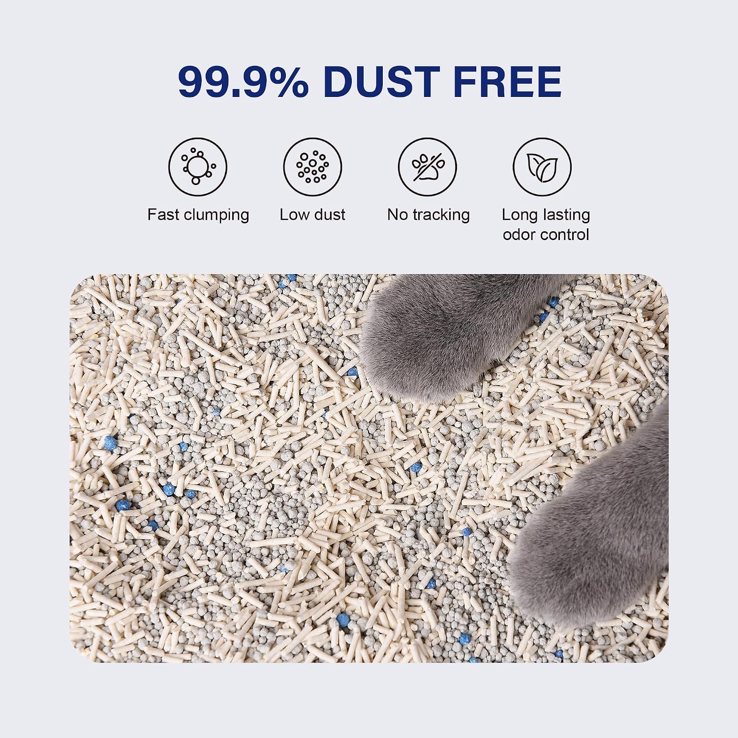 Honey Care cat litter clumping demonstration in a scoop