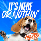 Packaging view of the authentic Nerf Dog Zone Flyer for dogs.