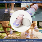 Spark Paws size 5 dog boots displayed for large medium and small breeds.