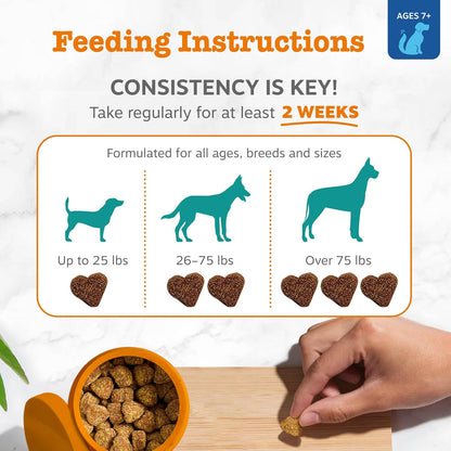 Premium USA imported Zesty Paws brain health bites for older dogs.