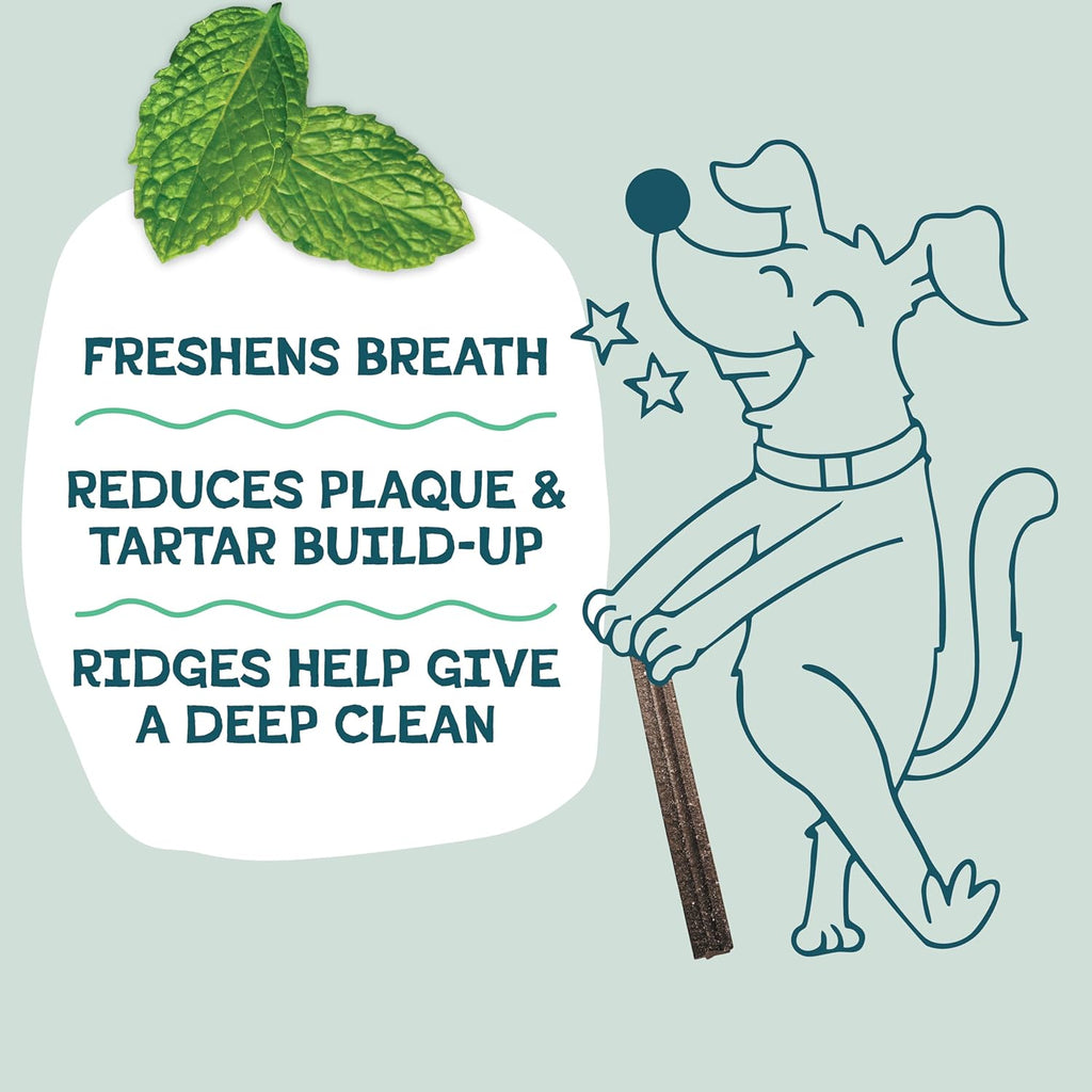 Dog chewing on Shameless Pets blueberry mint fresh breath stick