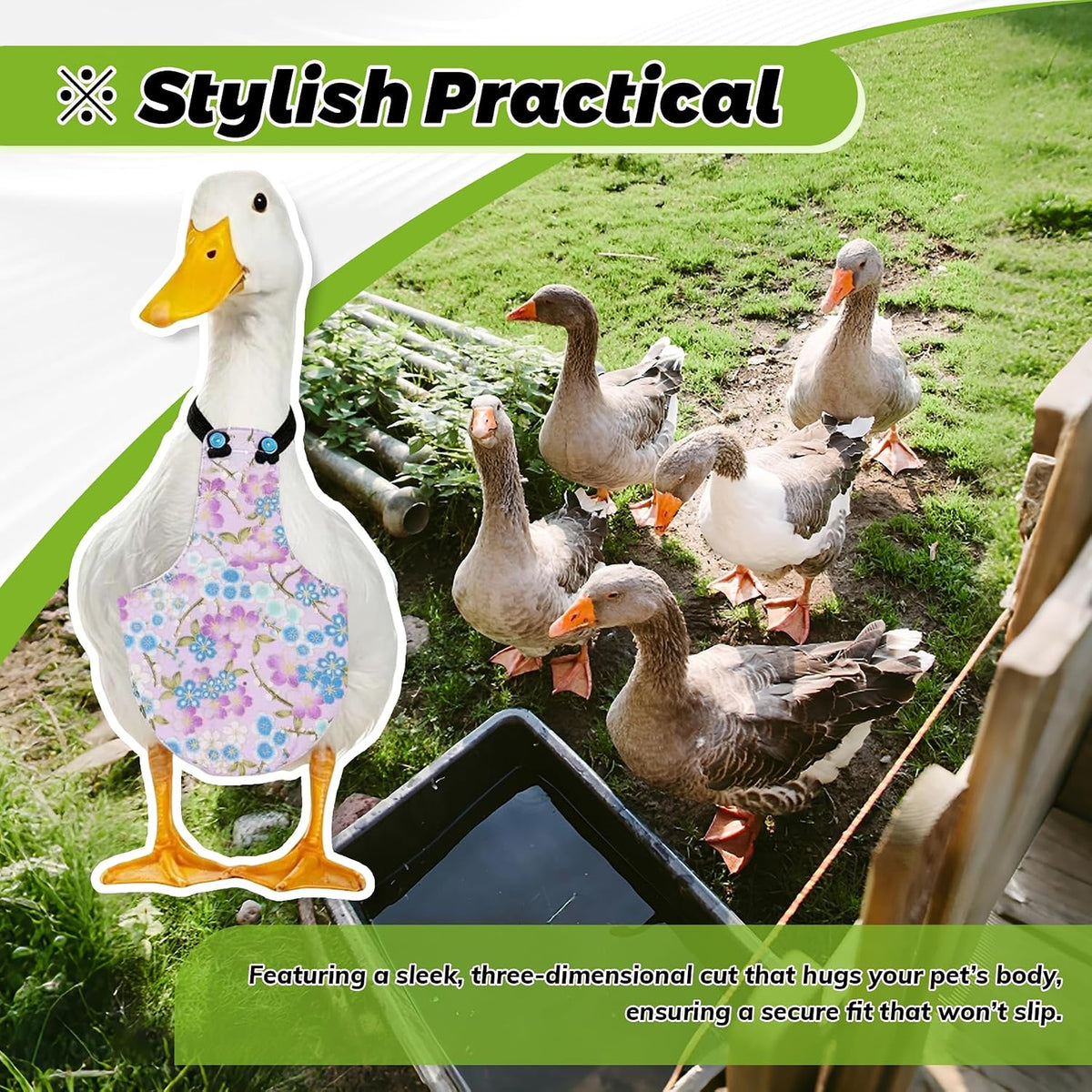 Adjustable Diaper for Pet Geese, Pet Ducks and Pet Chickens - Image 4