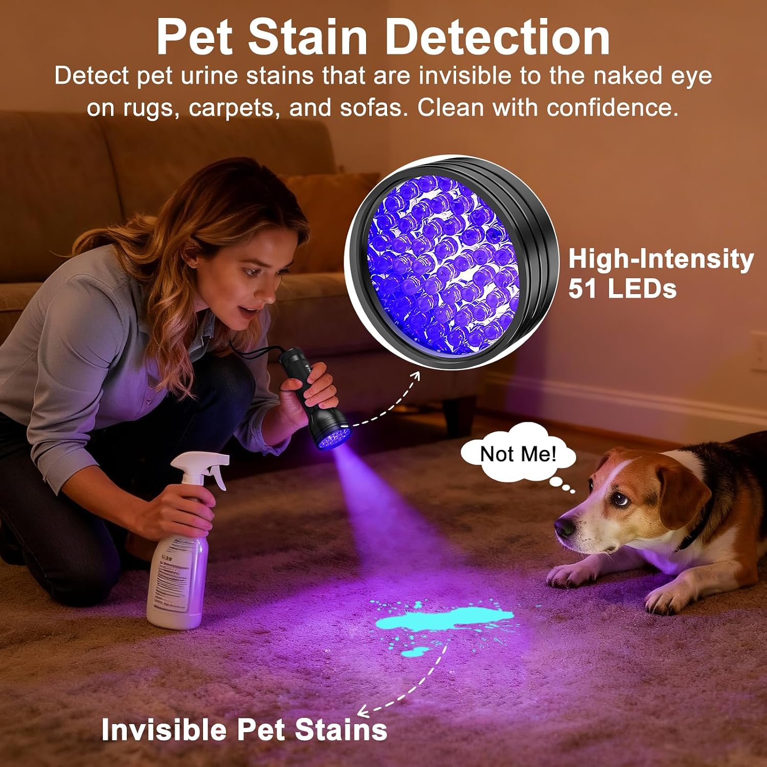 Vansky 51 LED ultraviolet blacklight illuminating dried carpet stains