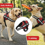 Stainless steel D-ring and back handle feature of Mumupet harness
