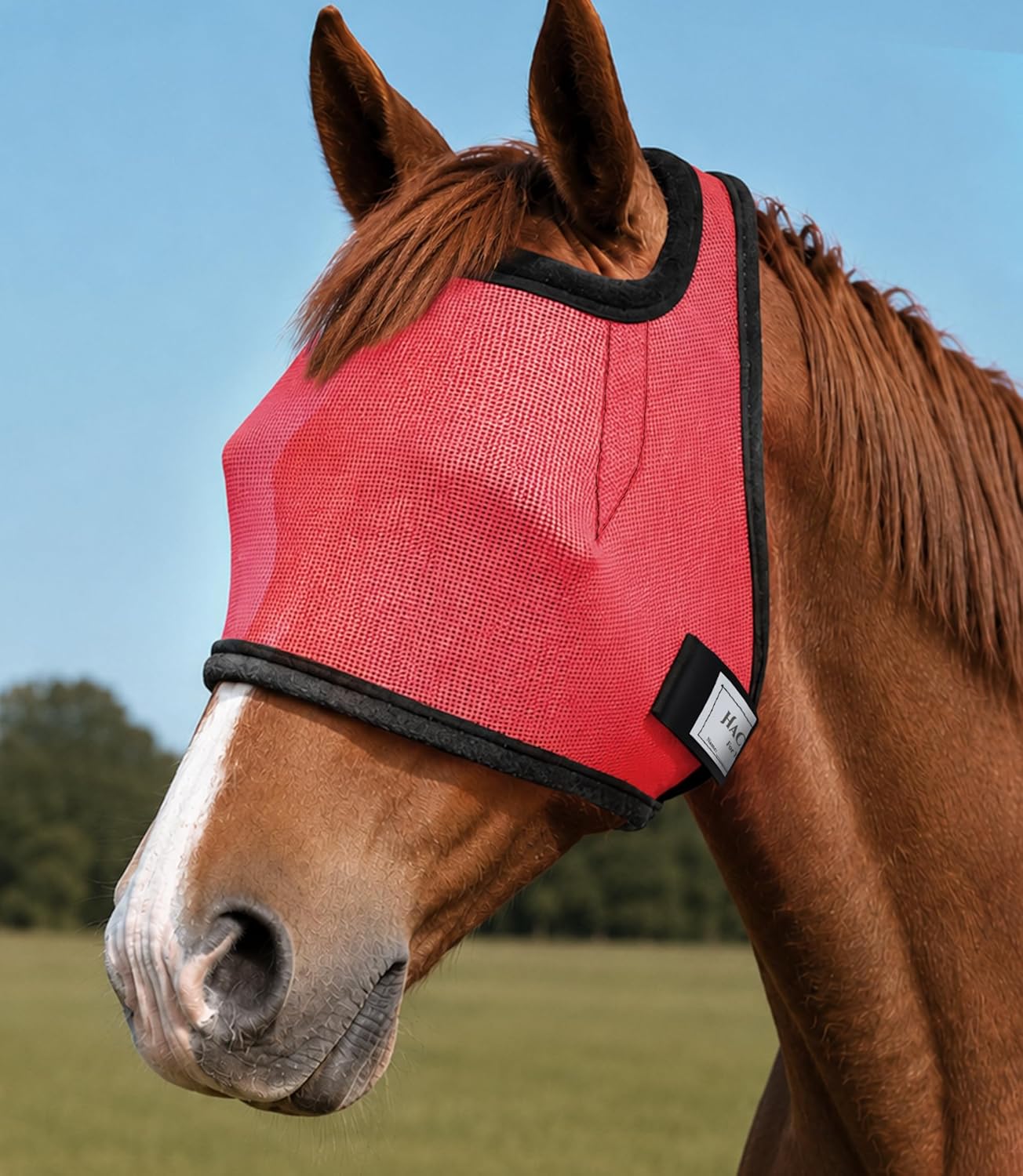 HackFond champion blue fly mask large size package