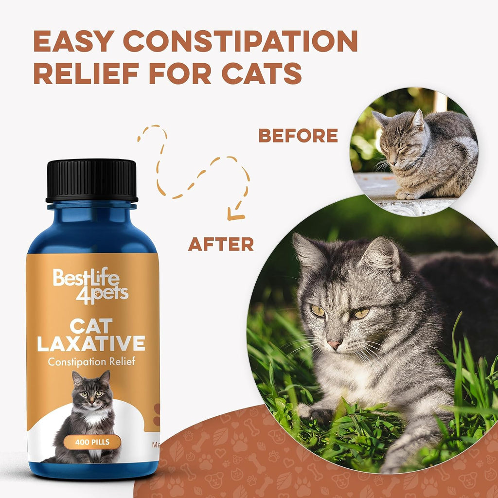 Homeopathic remedy for feline constipation and hairball relief bottle.