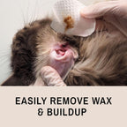 Cat receiving ear cleaning with Eye Envy fresh wipes