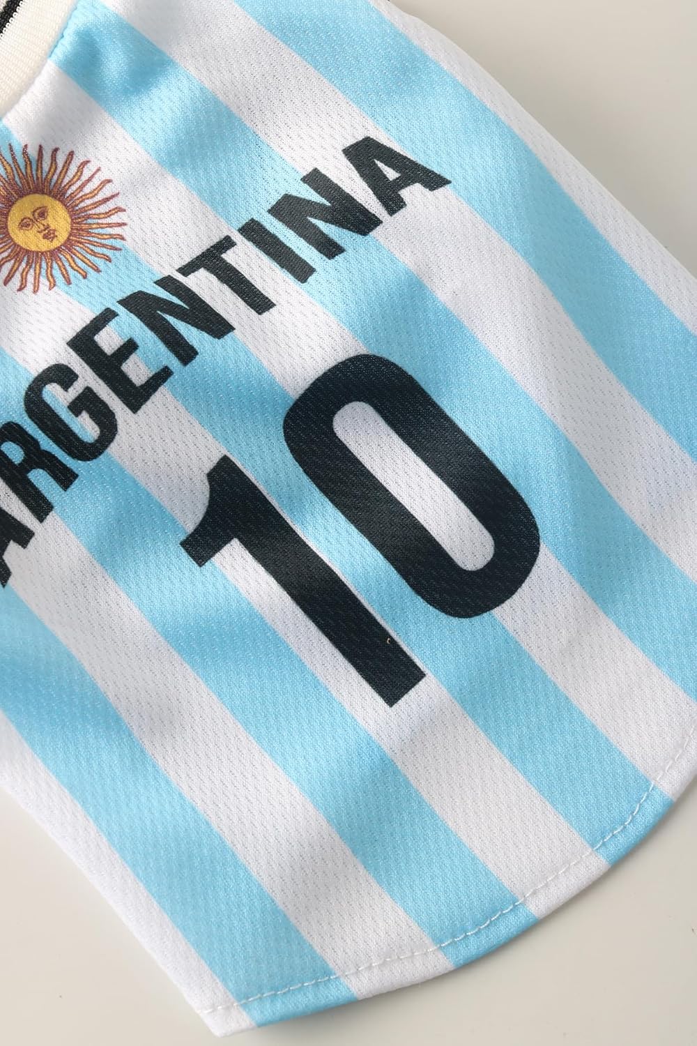 Small dog wearing Argentina theme soccer sportswear
