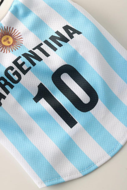 Small dog wearing Argentina theme soccer sportswear