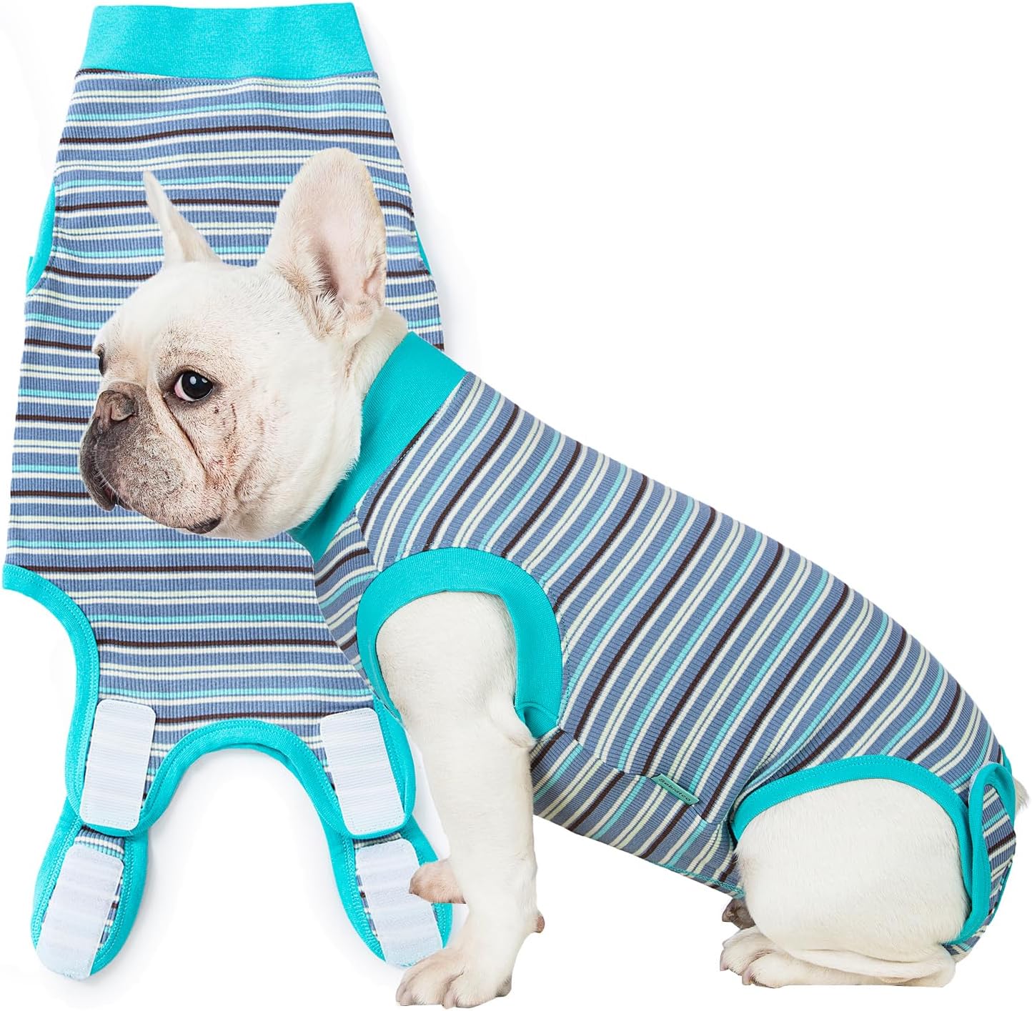 Packaging view of the authentic imported Sebidtco canine surgical recovery clothing.