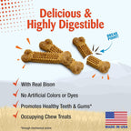 Nylabone long lasting natural dog chew bones close up showing raised dental nubs