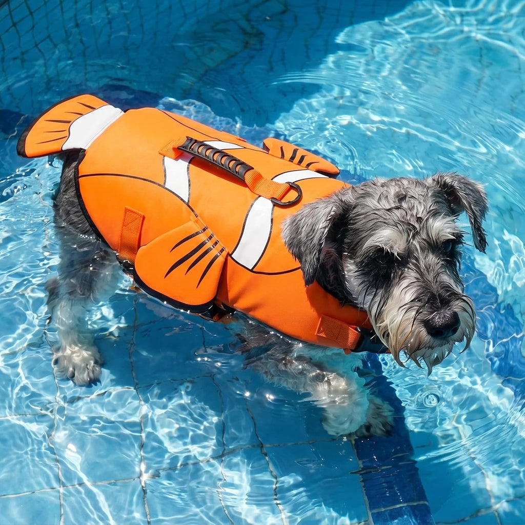 Side profile of a puppy wearing the adjustable DENTRUN swim vest near a beach.